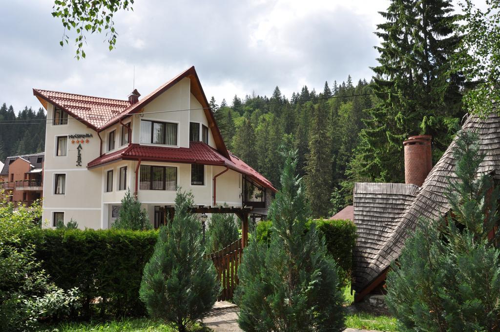 Pensiunea Sura Dacilor - Alex Poiana Brasov Luaran gambar
